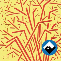 kassette #56 - Y A K A & Wynt