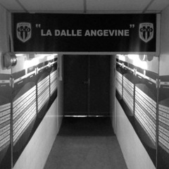 #La Dalle Angevine