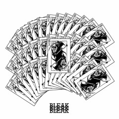 Introduction // Bleak