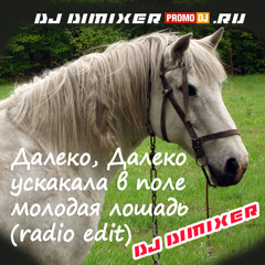 DJ DimixeR - Далеко,  далеко ускакала в поле молодая лошадь (original mix)