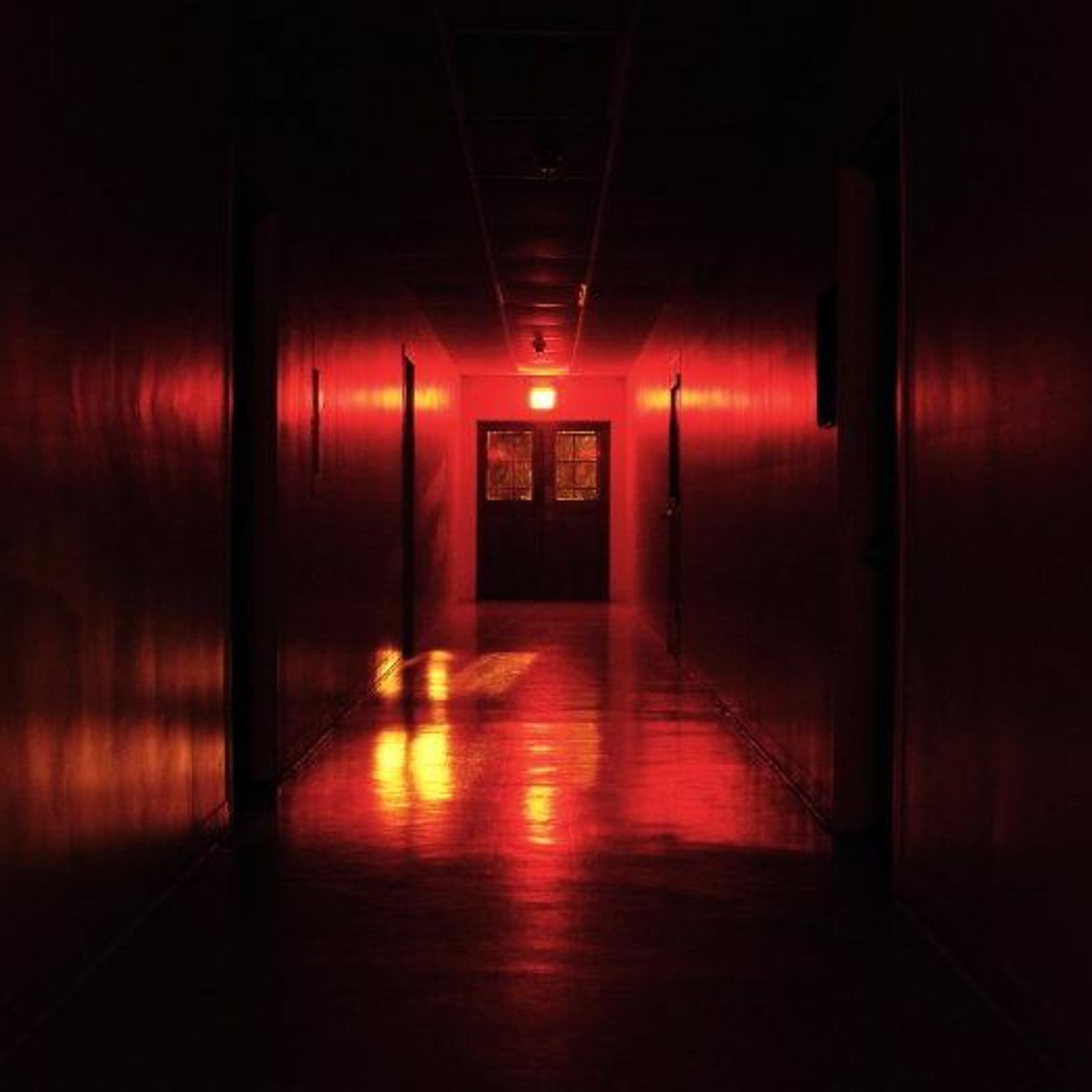 Backdoor episode artwork