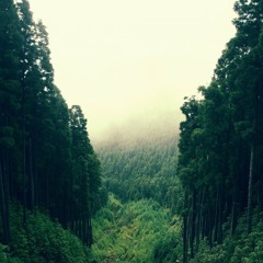 Landscape in the Mist