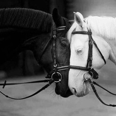 علاء غريب ما تستناش  2017 حصريا