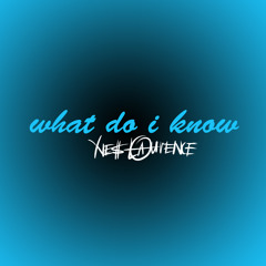 What Do I Know (Ed Sheeran Cover) - Yves Laurence