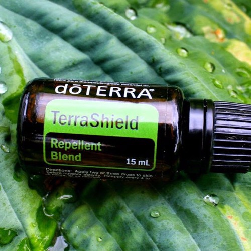 Stream Doterra insect repellent is the safe and natural option this
