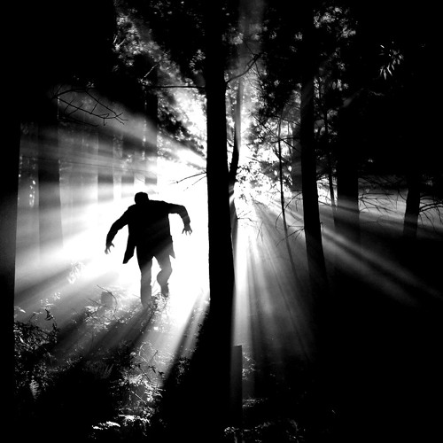 David McCann - Black+Light 005 - 22-03-2017 - Fnoob Techno Radio