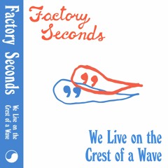 We Live on the Crest of a Wave (Anti-Vibe Cassette)