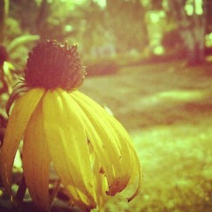 When you are far away