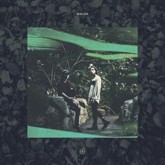 shelter (rlstne remix)