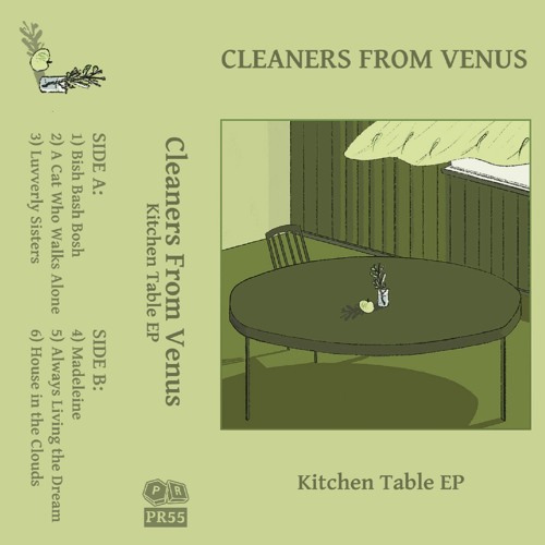 Stream Cleaners From Venus Kitchen Table EP A Cat Who Walks Alone