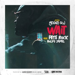 Wait Feat Pete Rock x Boldy James (Video Link In Description)