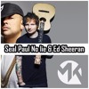 Seal Paul No lie & Ed Sheeran (DJ MK 17)2017-05-16_21h46m18