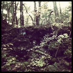 i guess it wasn't meant to be...