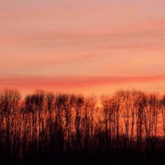 Summer EDM 2021 Mix - Popular Songs - Mixed By Fahad Khan