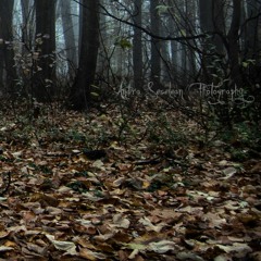 (Prod.TB) (For sale)