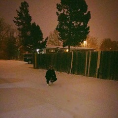 RxG Freestyle