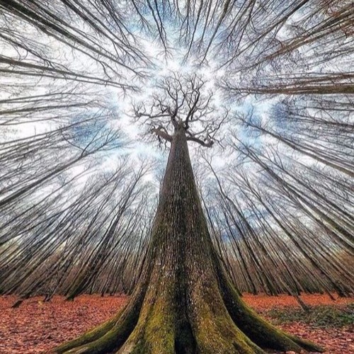 Cover of "Dreaming of the Crash" from "Interstellar" by Hans Zimmer