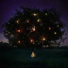STARS n DREAMS