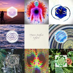 Organic Synthesis Vol. 1