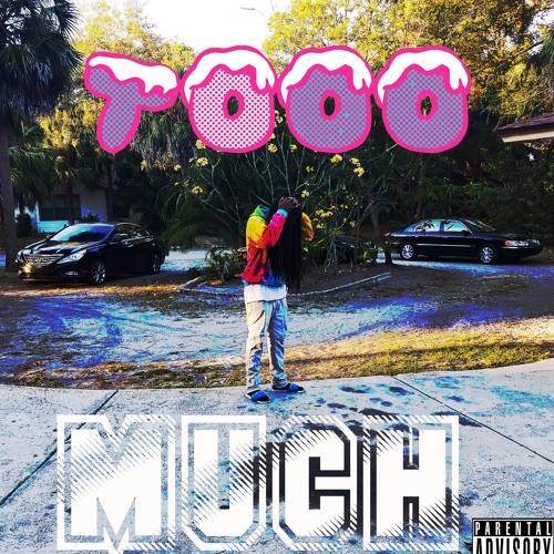 TOOMUCH-AONZAY