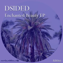 DSIDED - Enchanted Beauty (Original Mix)