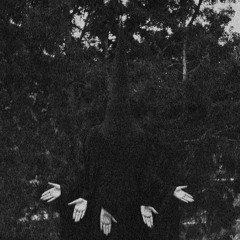 The Spirits Vøices