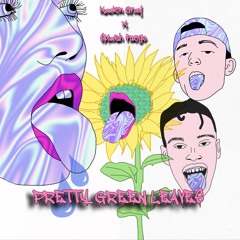 Kaden Gray X Splash Fuego - Luigi
