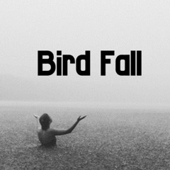 Bird Fall (instrumental)