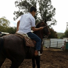 Somos Gente de Zambada by Lenin Ramirez ft Regulo Caro