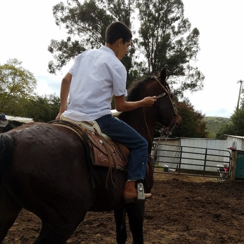 Somos Gente de Zambada by Lenin Ramirez ft Regulo Caro