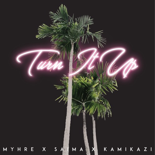 Turn it up (ft Saima & Kamikazi)