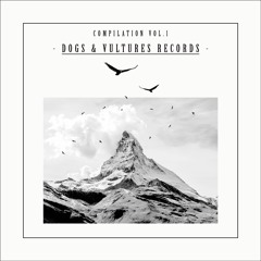 PREMIERE - Teniente Castillo - Where All Roads Meet [Dogs & Vultures Records]