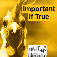 Important If True 14: Your Worst Nightmare