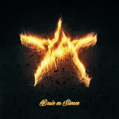 THE ARRS - Brule en Silence