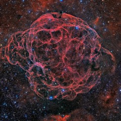 VERY RARE DEEP TECH (WARNING) might reaction