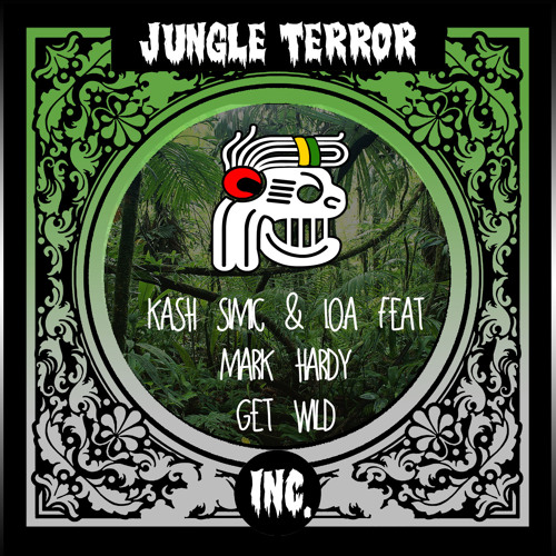Kash Simic & I.O.A Feat. Mark Hardy - Get Wild (Original Mix)[JTI Premiere]