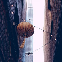 Tigerskin vs Coldplay & Rihanna - Hippies of China (Tim Lorent Mashup)