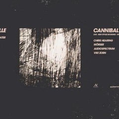 Cannibal Cooking Club live @ Artheater Köln 05.05.2017