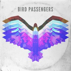 Bird Passengers - Running Out Of Time (Monoplan Remix)