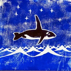 A Grampus Swims In Fingal's Cave