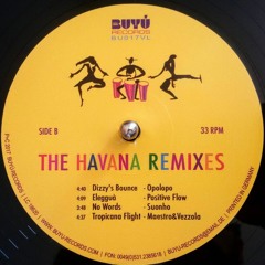 Bahama Soul Club - No Words (suonho Remix)