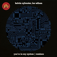 Kelvin Sylvester, Lee Wilson - You're In My System (SoulLab Vocal Mix)