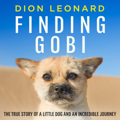 Finding Gobi, by Dion Leonard, Read by Brad Channer