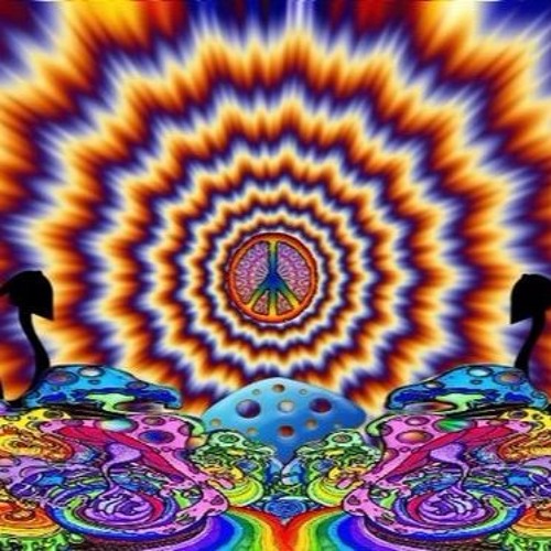 Bad Trip