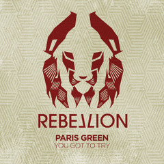 Paris Green - You Got To Try (Steve Bug Sunrise Mix) [Rebellion] [MI4L.com]