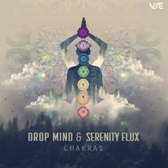 Drop Mind & Serenity Flux - Chakras