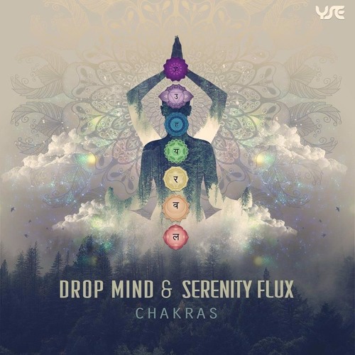 Drop Mind & Serenity Flux - Chakras
