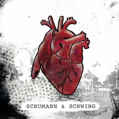 Jonas Schumann (with Chris Schwing) - Like A Pigeon