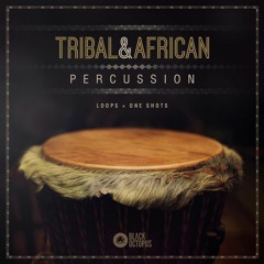 Black Octopus - Tribal & African Percussion