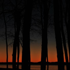 The Bluff Trail